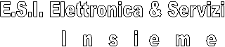 E.S.I. Elettronica & Servizi Insieme